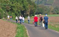 Herbstwanderung zum Herrenhof 21.09.2024